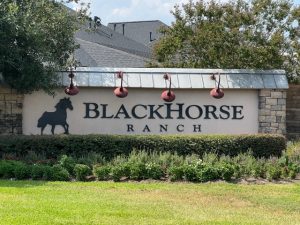 Blackhorse Ranch Neighborhood sign